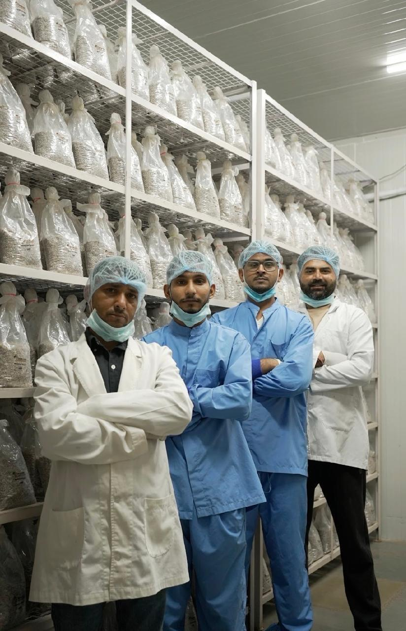 Mushroom farming business and marketing module
