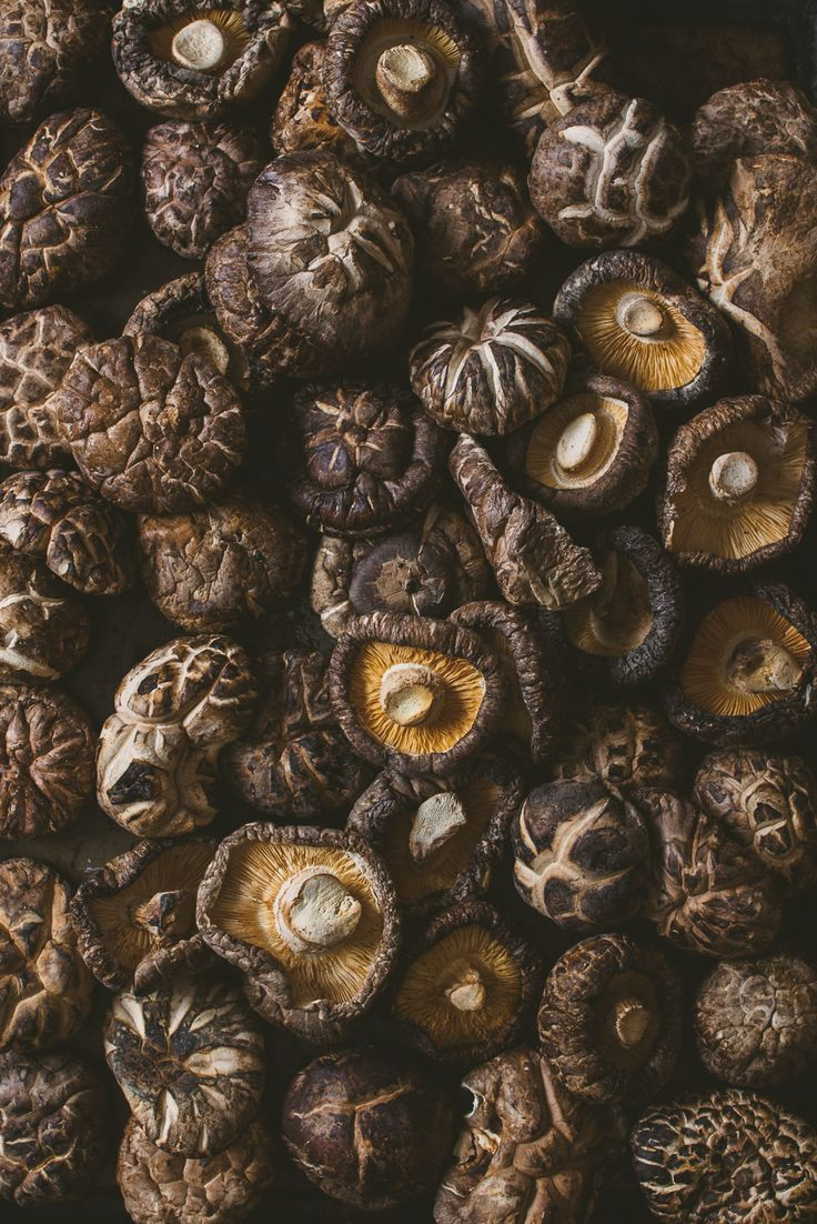 Paddy straw mushroom variety